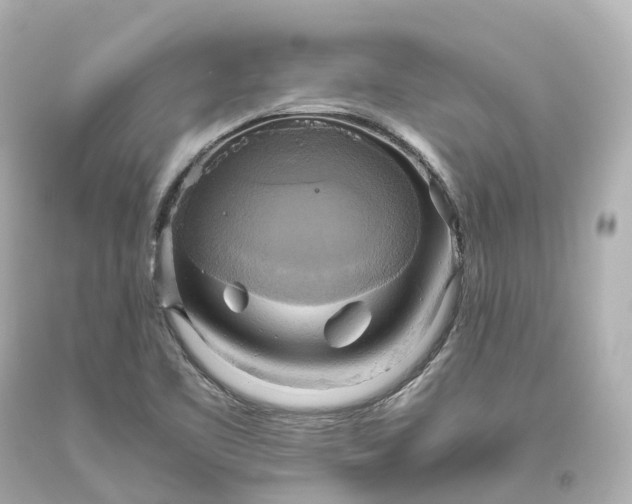 X0000093611461200710291155