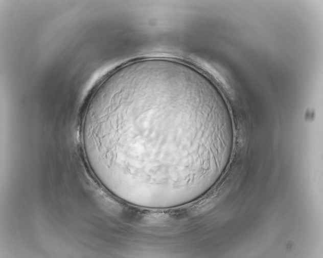 X0000093611462200710291155