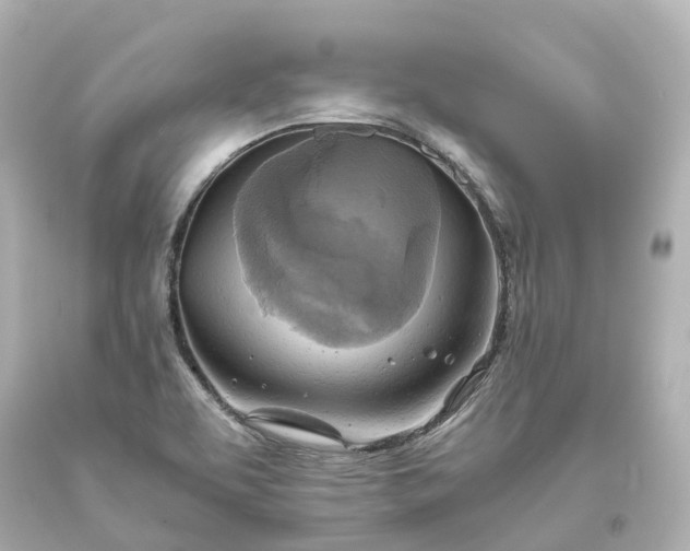 X0000093611463200710291155