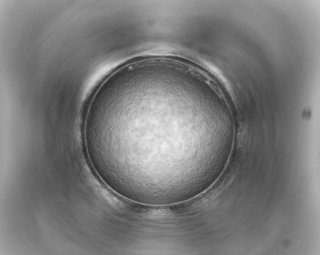 X0000093611464200710291155
