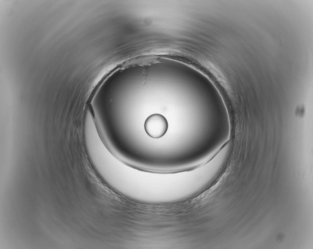 X0000093611465200710291155