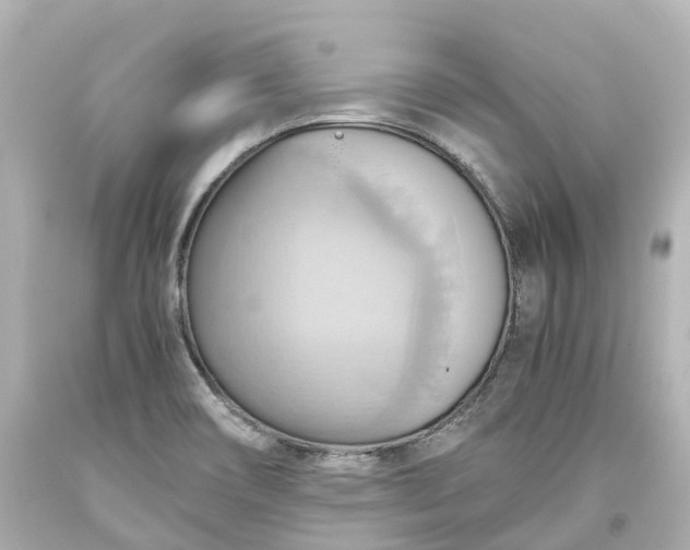 X0000093611466200710291155