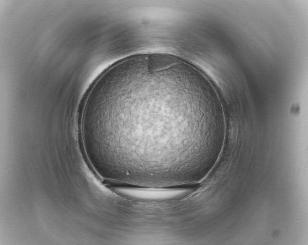 X0000093611468200710291155