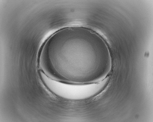 X0000093611469200710291155
