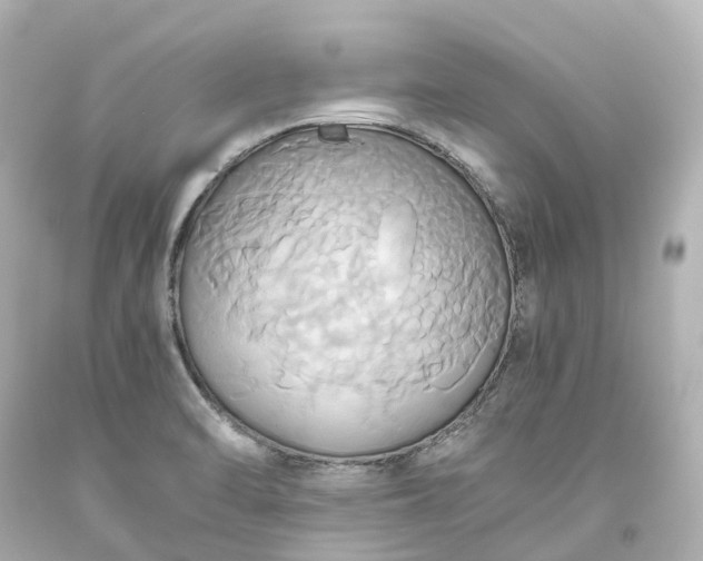 X0000093611470200710291155