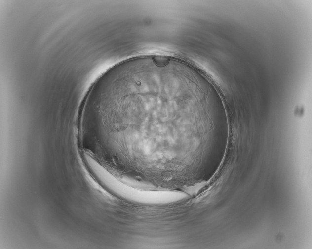 X0000093611471200710291155