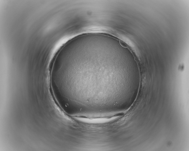 X0000093611472200710291155