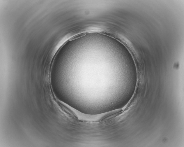 X0000093611473200710291154