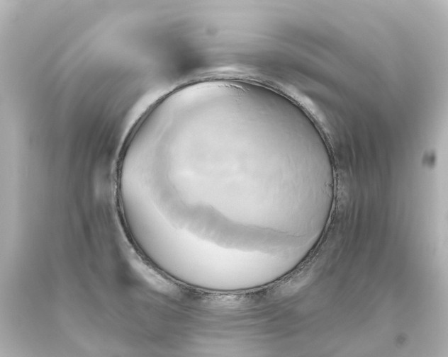 X0000093611474200710291154