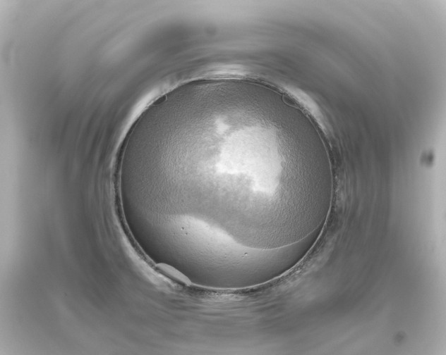 X0000093611475200710291154