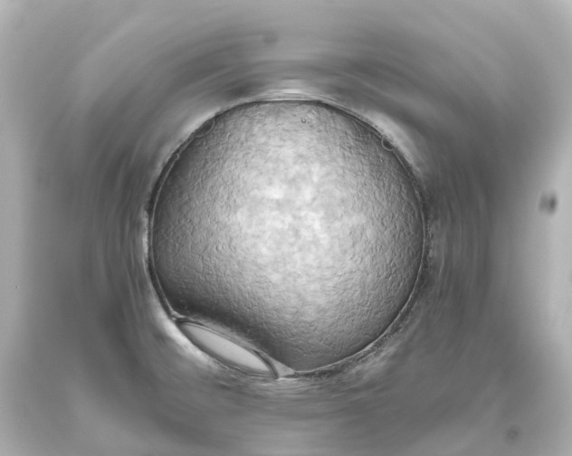 X0000093611476200710291154