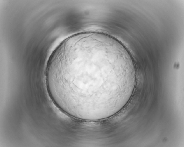 X0000093611478200710291154
