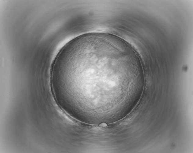 X0000093611480200710291154