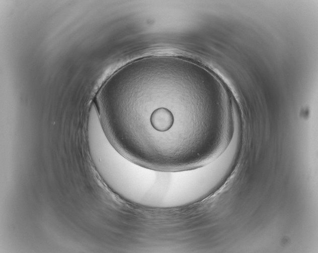 X0000093611481200710291154