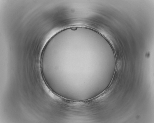 X0000093611482200710291154