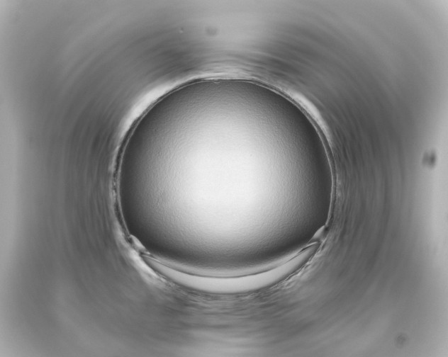 X0000093611485200710291154