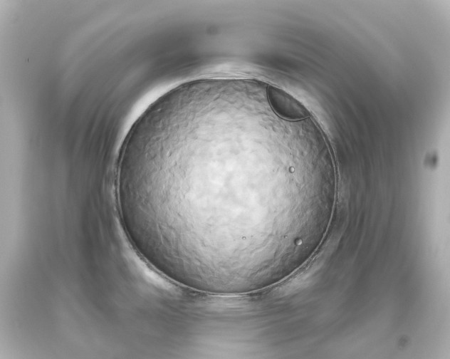 X0000093611486200710291154