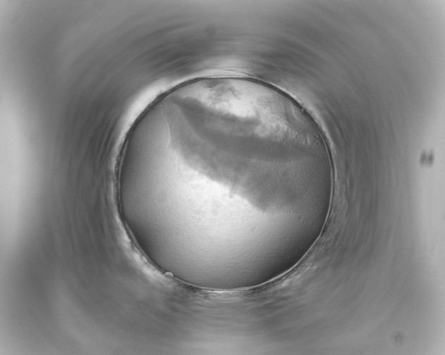 X0000093611488200710291154
