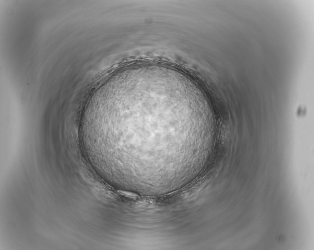 X0000093611489200710291154