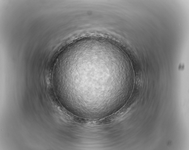 X0000093611490200710291154