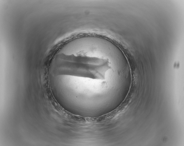 X0000093611494200710291154
