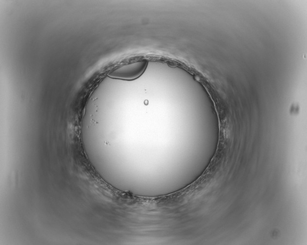 X0000093611495200710291154