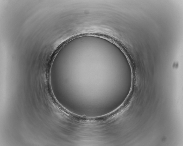 X0000093611497200710291154