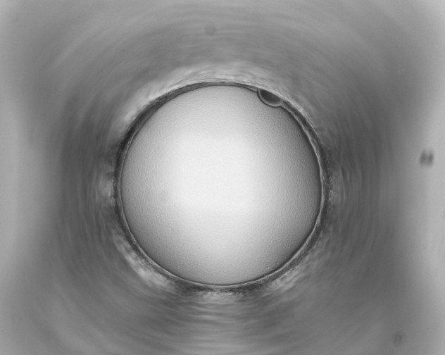 X0000093611499200710291154