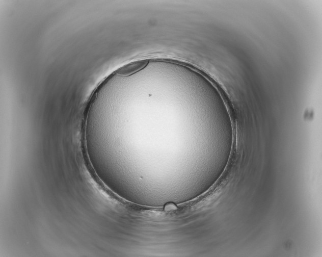 X0000093611500200710291154