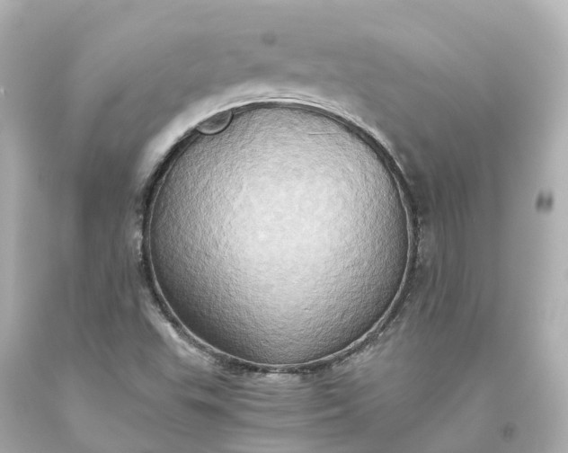 X0000093611503200710291154