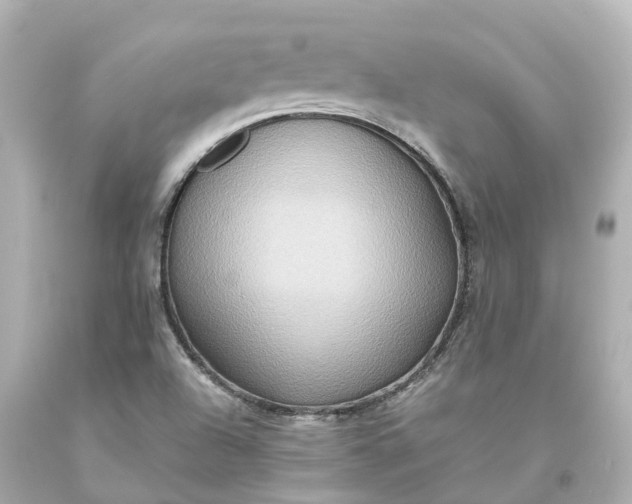 X0000093611504200710291154