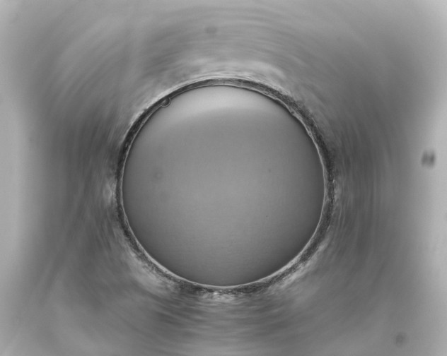 X0000093611505200710291154