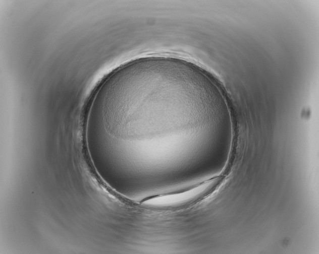 X0000093611506200710291154