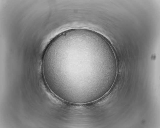 X0000093611507200710291154