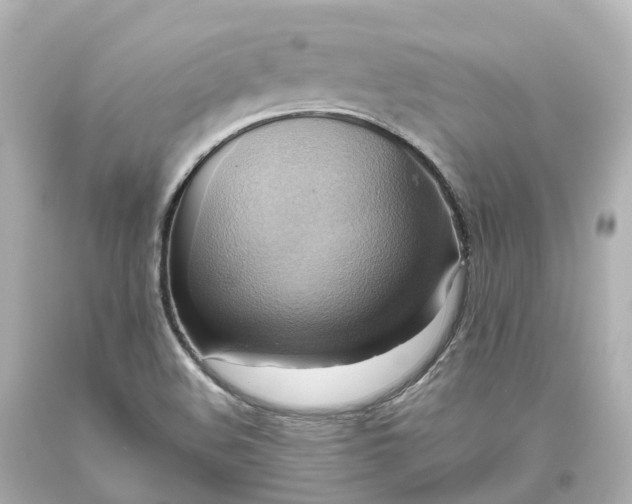 X0000093611508200710291154