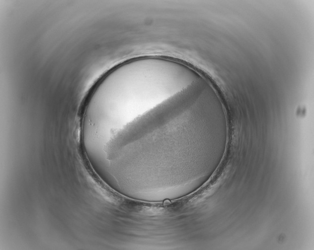 X0000093611509200710291154