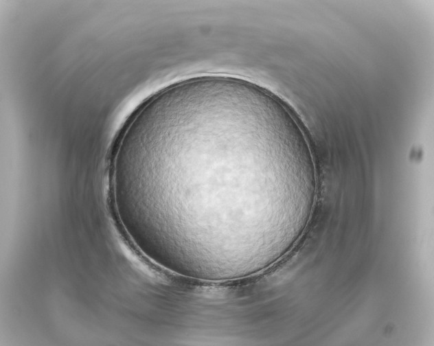 X0000093611511200710291154