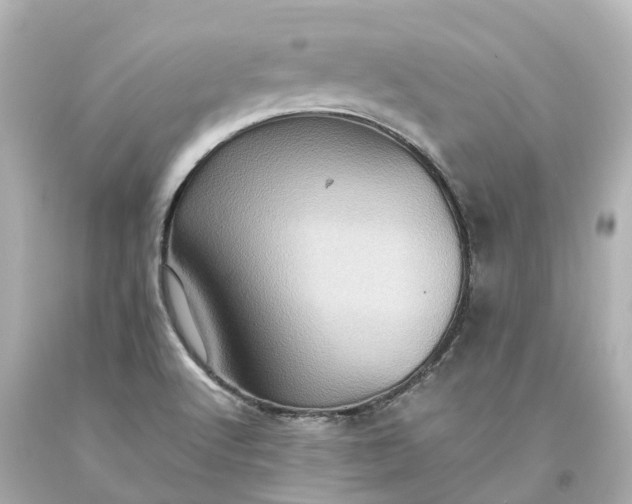 X0000093611512200710291154