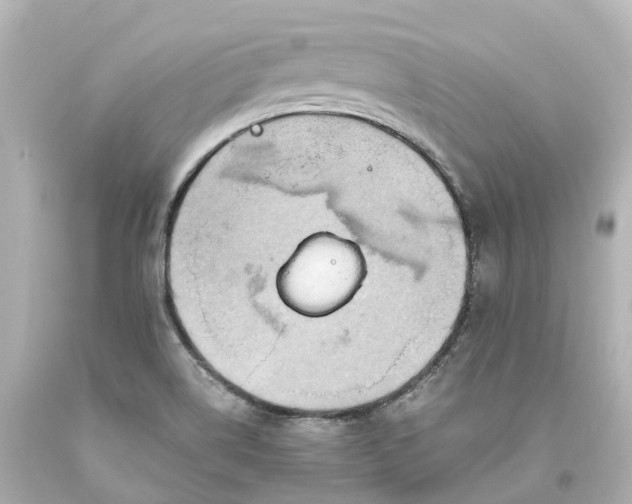 X0000093611514200710291154