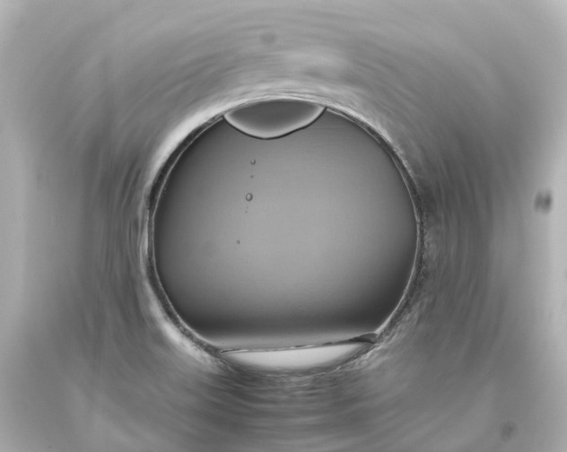 X0000093611515200710291154
