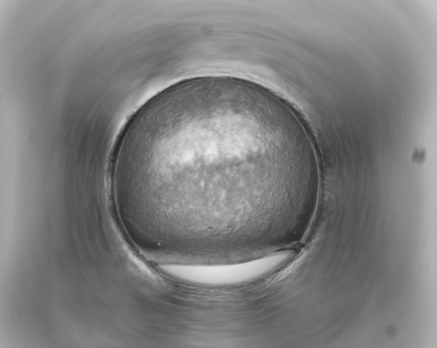 X0000093611517200710291154