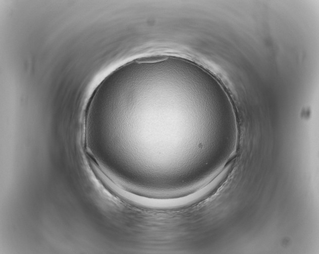 X0000093611520200710291154