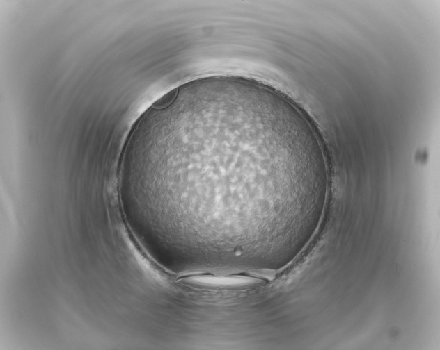 X0000093611521200710291154