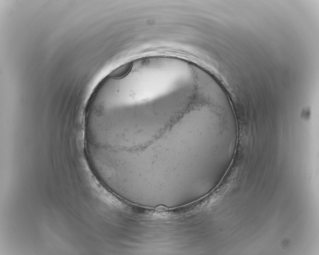 X0000093611522200710291154
