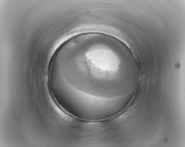 X0000093611523200710291154
