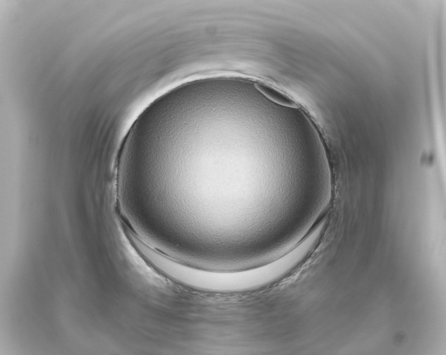 X0000093611524200710291154