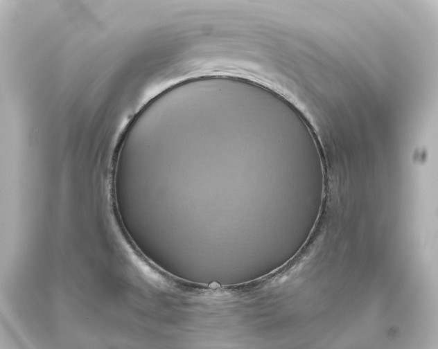 X0000093611525200710291154