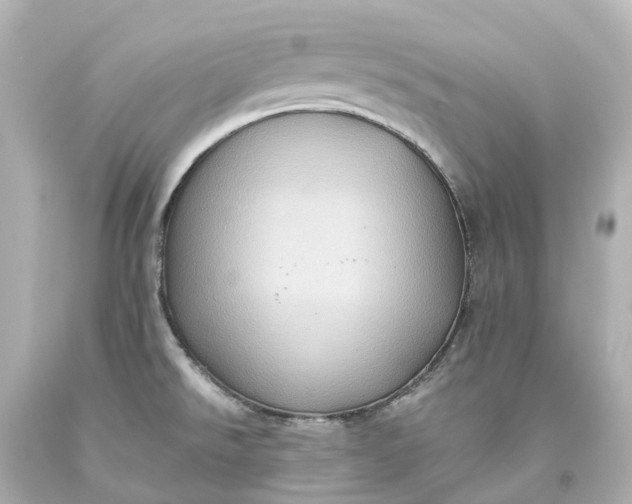 X0000093611526200710291154