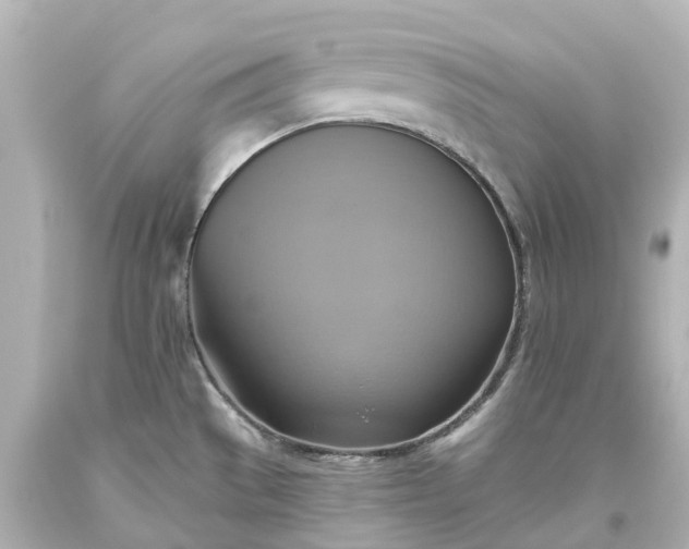 X0000093611529200710291154