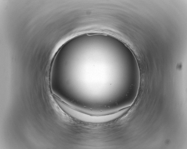 X0000093611530200710291154